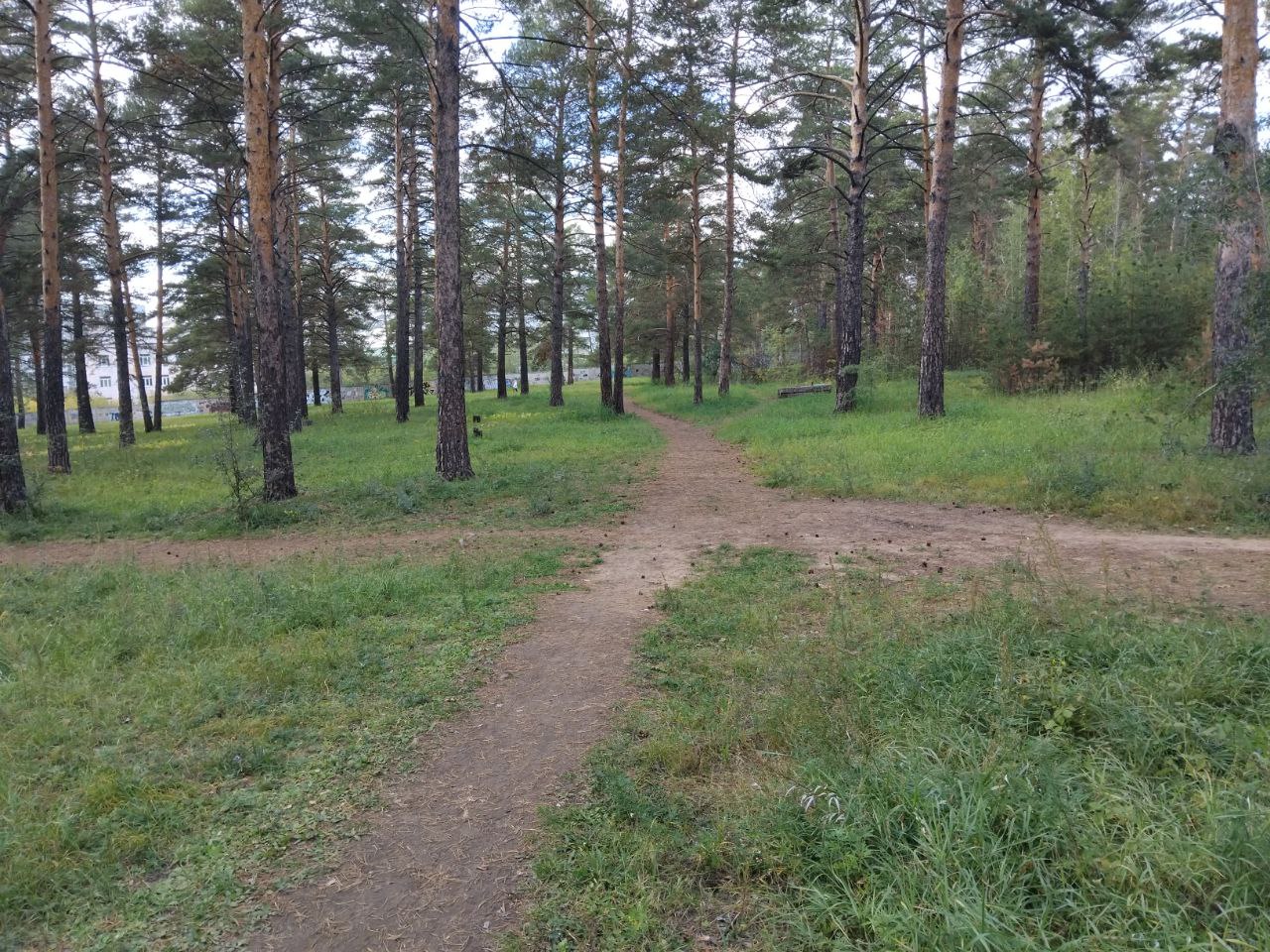 Вот и дождались…