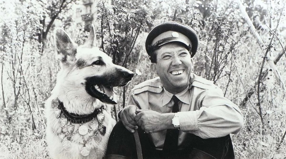 Собачья радость: как подполковник полиции бизнес на щенках делал