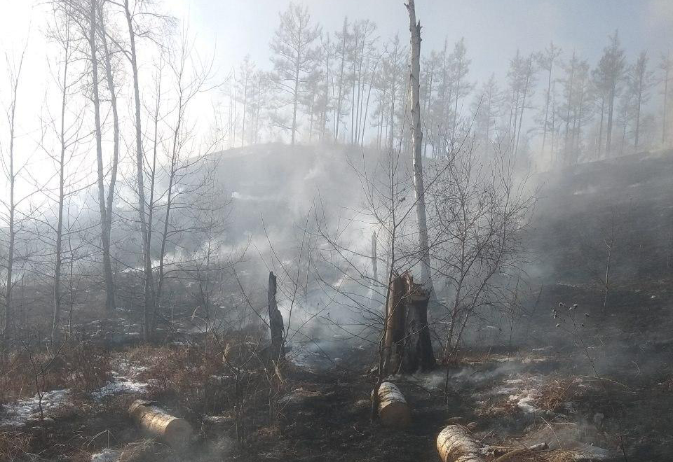 Лес в Атамановке полыхает – пожарных нет, жители тушат его самостоятельно 