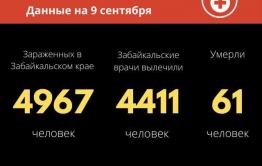 Число заражений коронавирусом в Забайкалье за сутки выросло на 45. Зафиксирован еще один летальный случай.