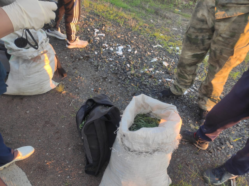 Более шести килограммов наркотиков попытались провезти в один из районов Забайкалья