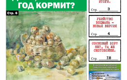 «Вечорка», № 22: Надо ли садить картошку, новая версия убийства Боцмана и прогулка по Соснячку