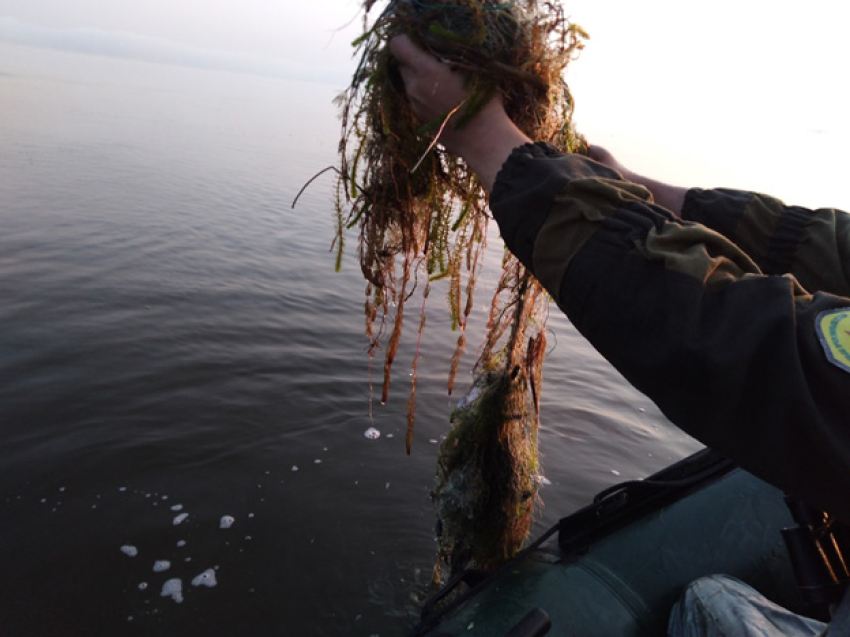  Почти полтора километра рыболовных сетей достали из озер в Забайкалье 