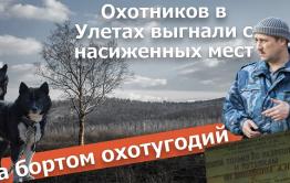 Вечорка ТВ: За бортом охотугодий. Охотников в Улетах выгнали с насиженных мест