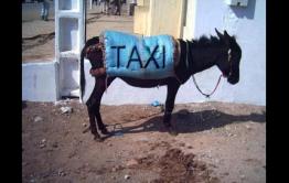 Зеленоглазое такси: Водитель таксомотора продал забытый пассажиром «Айфон» незнакомцу за тысячу рублей