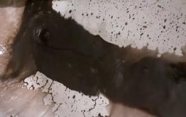 Жители Горного пожаловались на черную воду из крана 