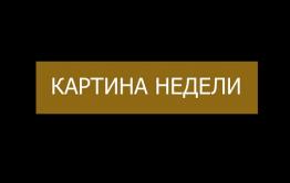 Вечорка ТВ: Картина недели от «Вечорки» | убийства, мошенники, Тахи