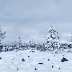 Нежданно-негаданно снег выпал в Каларском районе Забайкалья. Фото: Павел Стрельцов. 24 сентября 2021 год.