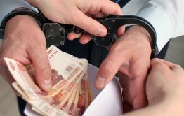 Замначальника Госохотслужбы Забайкалья задержан за крупную взятку — источник