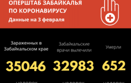 Больше 35 тысяч забайкальцев заразились коронавирусом с начала пандемии