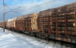 В Забайкалье пресекли схему контрабандного вывоза леса в Китай