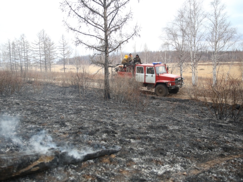 ​Площадь пожара в «Цасучейском бору» из-за ветра за полдня выросла с 730 до 1090 гектаров