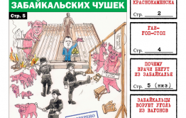 «Вечорка», № 10: Африканская чума забайкальских чушек