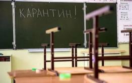 Читинских школьников отправили на карантин