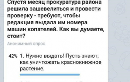 Читатели «Вечорки» проголосовали против разглашения данных копателей солодки в Шилкинском районе