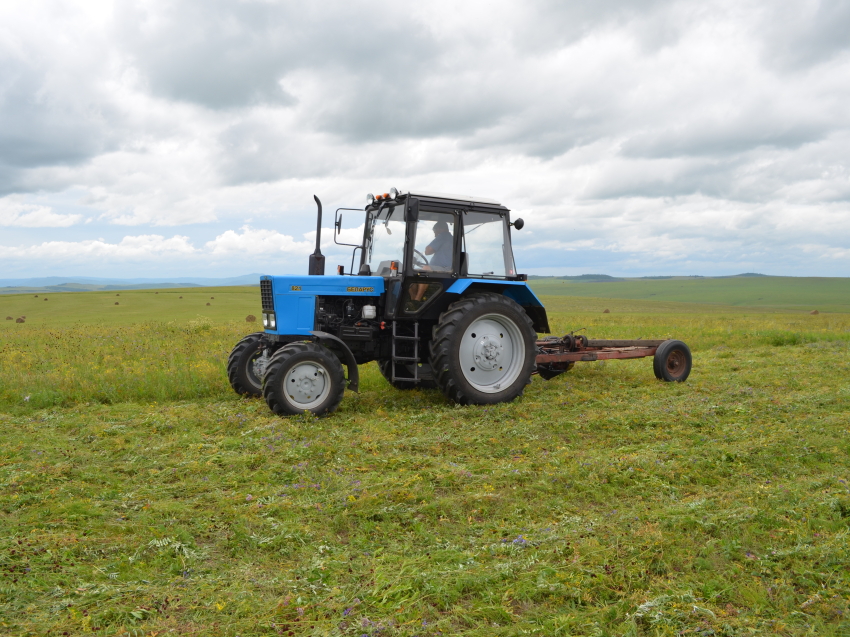 Три трактора и 50 коров на средства гранта приобрел фермер из Агинского района