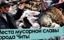 Мусор, бомж и крыса: что происходит на свалках Читы