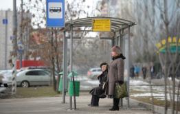 Хатико ждал, и Смоленка подождет