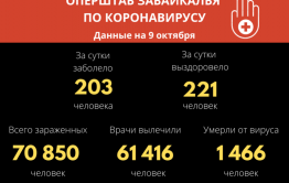Второй день в Забайкалье зарегистрировали более 200 зараженных коронавирусом