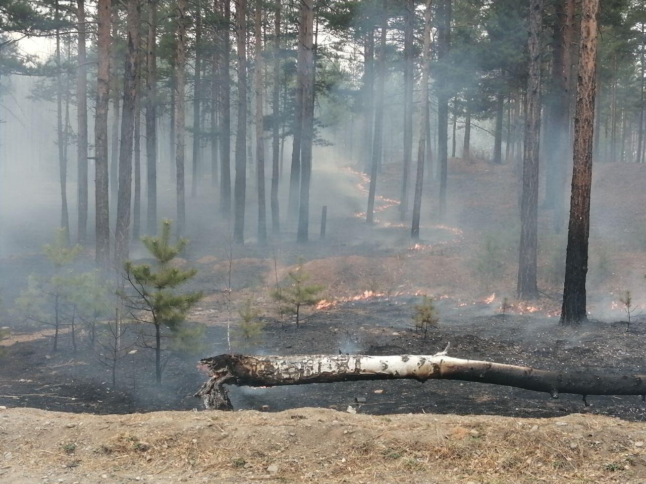 Пожар в лесу в Забайкалье