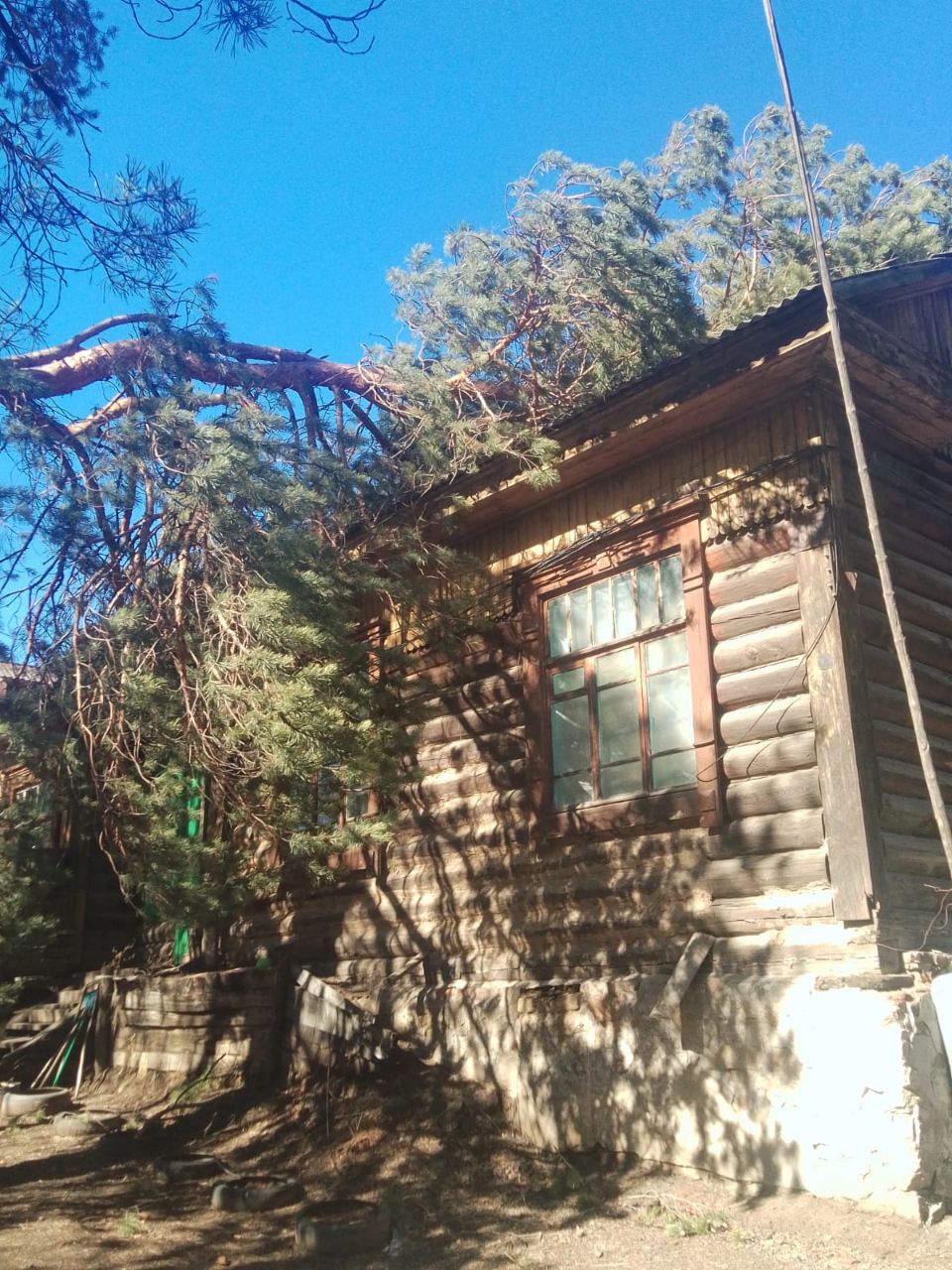 Дерево повредило крышу дома вдовы СВО в Лесном городке