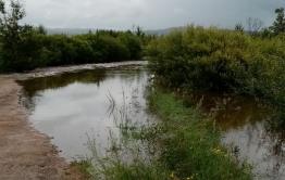 Уровень рек Чита и Ингода вновь поднялся