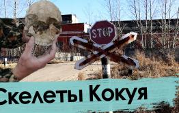 Кокуй — поселок на костях. Заводских и человеческих.