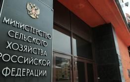 Слухи