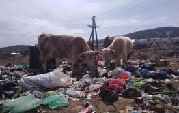 Предположительно, педофилы на джипе в Вершино-Дарасунском предлагают детям бесплатно прокатиться до школы 