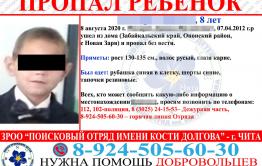 Забайкальская прокуратура проведет проверку по факту пропажи 8-летнего мальчика