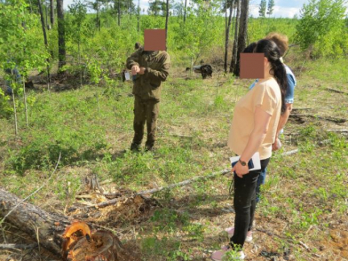 Забайкалец построил забор за 250 тысяч рублей из незаконно спиленных деревьев