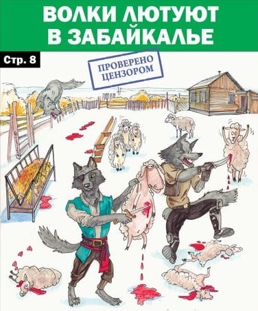 Вознаграждение за добытых волков увеличили в Забайкалье