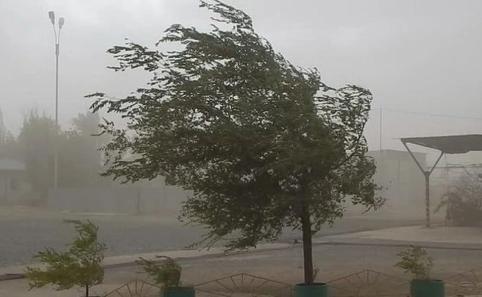 Штормовой ветер ожидается 9 августа в Забайкалье