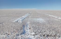 В Забайкалье пострадавшим от осадков аграриям выплатят 142 млн рублей