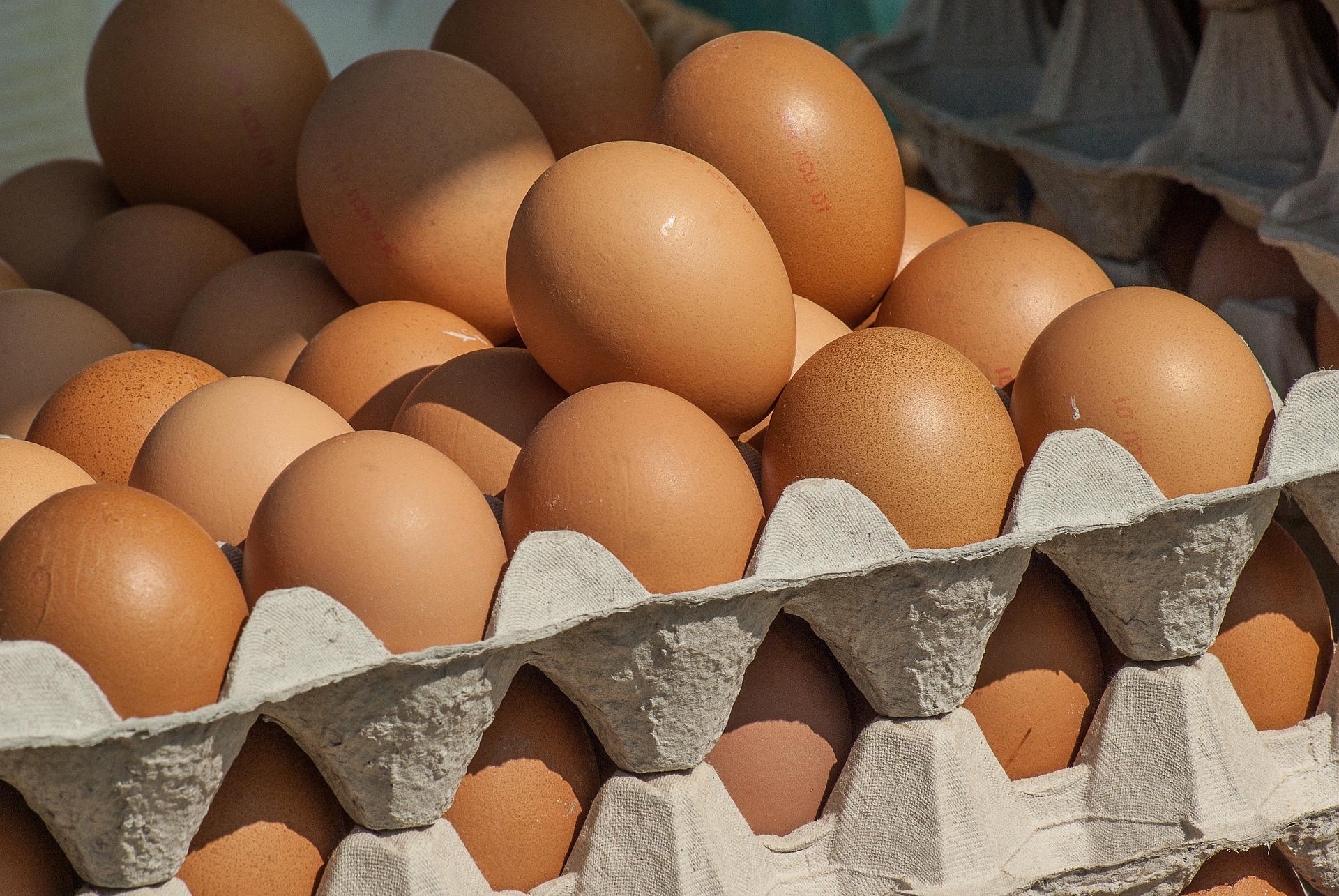 Читинские яйца дешевле привозных