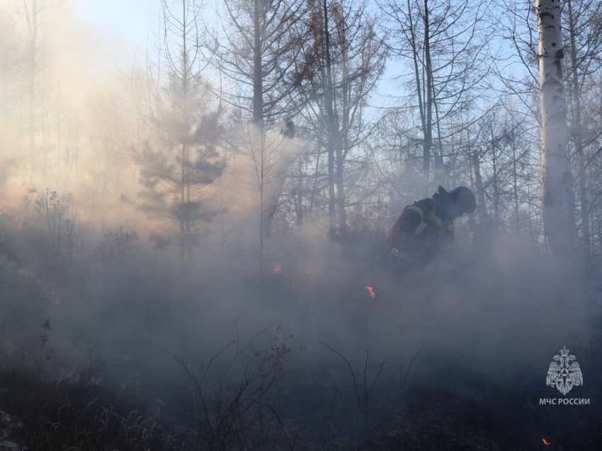 Рыбак устроил лесной пожар в Акшинском районе Забайкалья