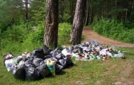В Дровяной нет бани, а лес вокруг поселка завалили мусором