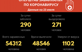 В Забайкалье за сутки 271 человек вылечился от коронавируса