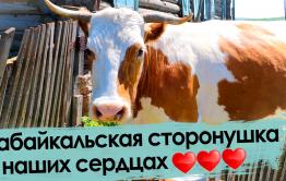 Живешь за Байкалом — не щелкай забралом!