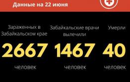 Еще 71 случай коронавируса выявили в Забайкалье за сутки