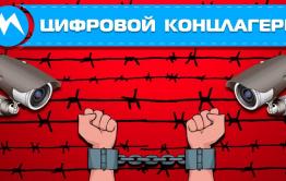 Национальные ли цели в Указе Путина?