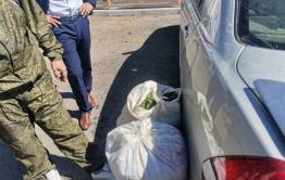 Забайкальца задержали с 30 килограммами конопли 
