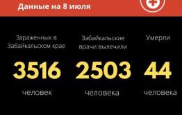 Меньше сорока новых случаев заражения коронавирусом выявили в Забайкалье за сутки