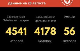 В Забайкалье от COVID-19 скончалась 63-летняя женщина.