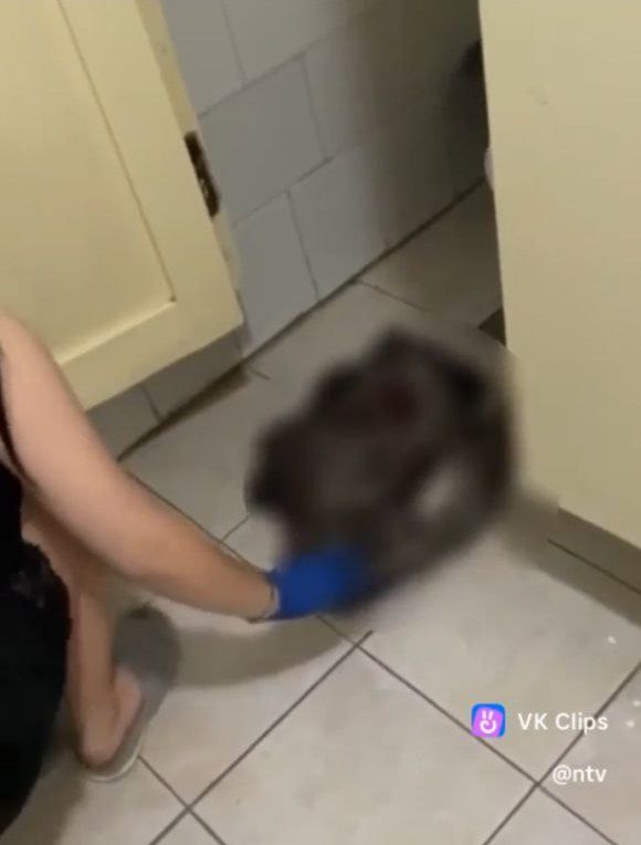 Внезапные роды в общежитии колледжа. Кто виноват? 