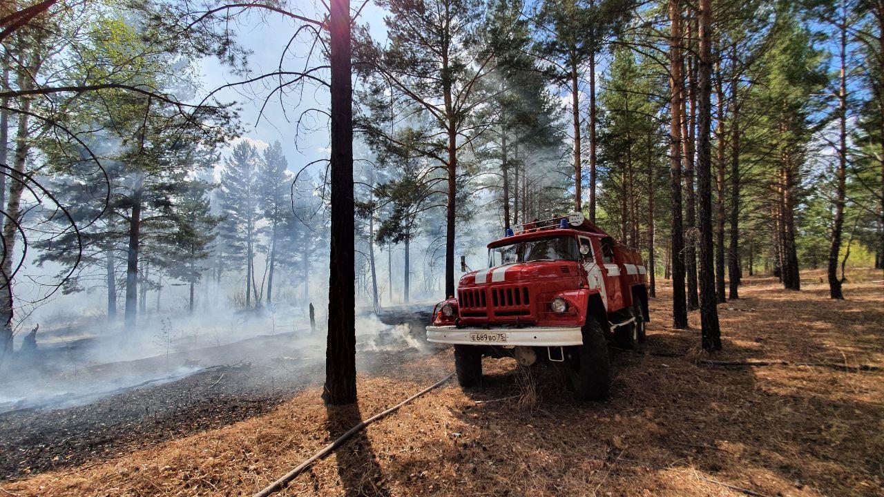 В Забайкалье нет действующих лесных пожаров 
