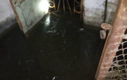 Подвал дома в Шара-Горохоне затопило дождями